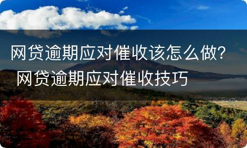 网贷逾期应对催收该怎么做？ 网贷逾期应对催收技巧