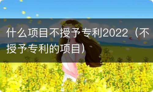 什么项目不授予专利2022（不授予专利的项目）