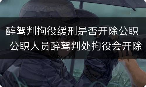 醉驾判拘役缓刑是否开除公职 公职人员醉驾判处拘役会开除公职吗