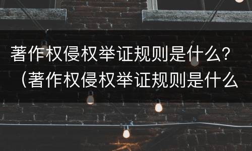 著作权侵权举证规则是什么？（著作权侵权举证规则是什么规定）