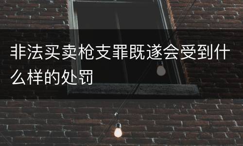 非法买卖枪支罪既遂会受到什么样的处罚