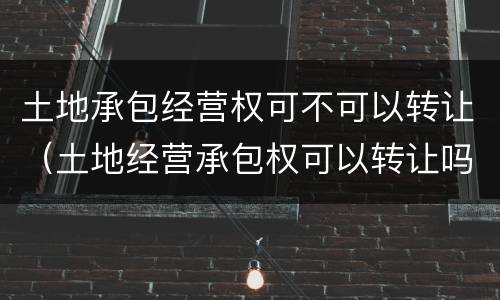 土地承包经营权可不可以转让（土地经营承包权可以转让吗）