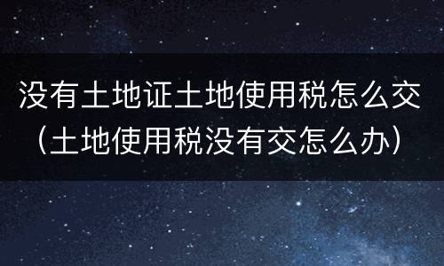 没有土地证土地使用税怎么交（土地使用税没有交怎么办）