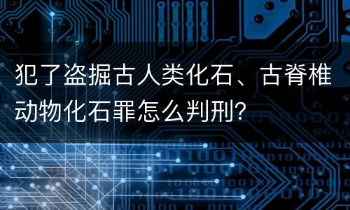 犯了盗掘古人类化石、古脊椎动物化石罪怎么判刑？