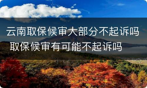云南取保候审大部分不起诉吗 取保候审有可能不起诉吗