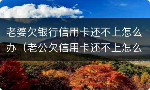 老婆欠银行信用卡还不上怎么办（老公欠信用卡还不上怎么办）