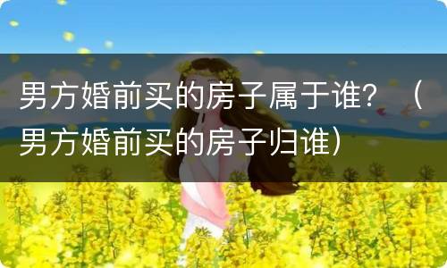 男方婚前买的房子属于谁？（男方婚前买的房子归谁）