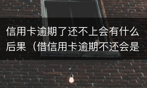 信用卡逾期了还不上会有什么后果（借信用卡逾期不还会是什么后果）