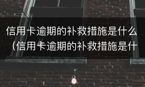 信用卡逾期的补救措施是什么（信用卡逾期的补救措施是什么原因）