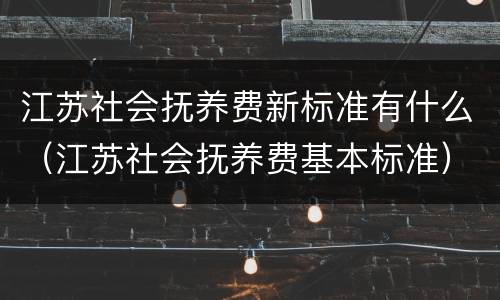 江苏社会抚养费新标准有什么（江苏社会抚养费基本标准）