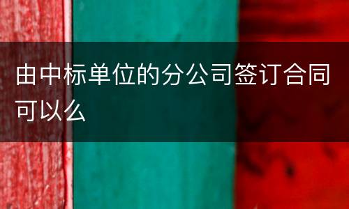 由中标单位的分公司签订合同可以么
