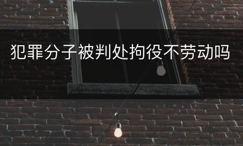 犯罪分子被判处拘役不劳动吗
