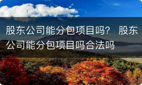 股东公司能分包项目吗？ 股东公司能分包项目吗合法吗