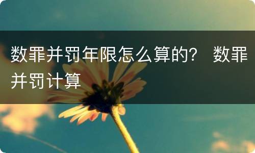 数罪并罚年限怎么算的？ 数罪并罚计算