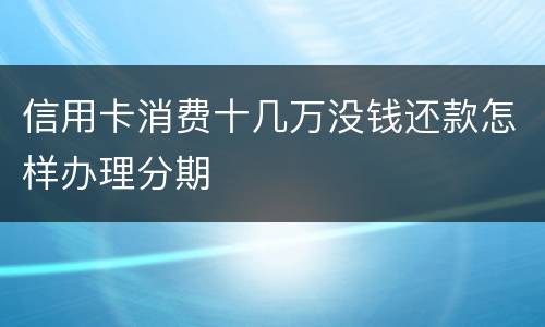 信用卡消费十几万没钱还款怎样办理分期