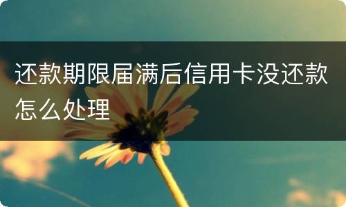 还款期限届满后信用卡没还款怎么处理