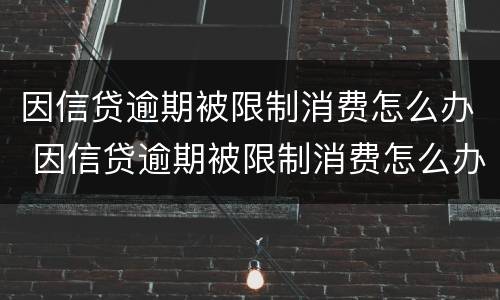 因信贷逾期被限制消费怎么办 因信贷逾期被限制消费怎么办呢