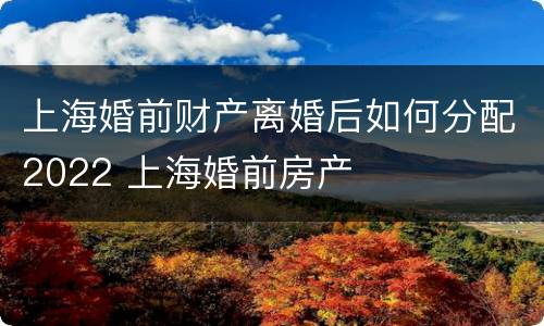 上海婚前财产离婚后如何分配2022 上海婚前房产