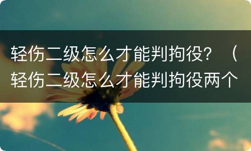 轻伤二级怎么才能判拘役？（轻伤二级怎么才能判拘役两个月）