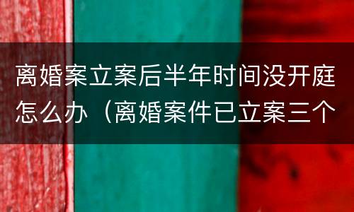 离婚案立案后半年时间没开庭怎么办（离婚案件已立案三个月了,还没开庭如何处理）