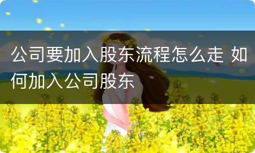 公司要加入股东流程怎么走 如何加入公司股东