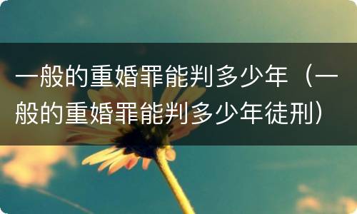 一般的重婚罪能判多少年（一般的重婚罪能判多少年徒刑）