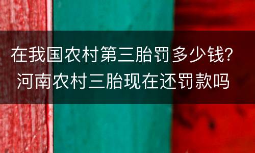 在我国农村第三胎罚多少钱？ 河南农村三胎现在还罚款吗