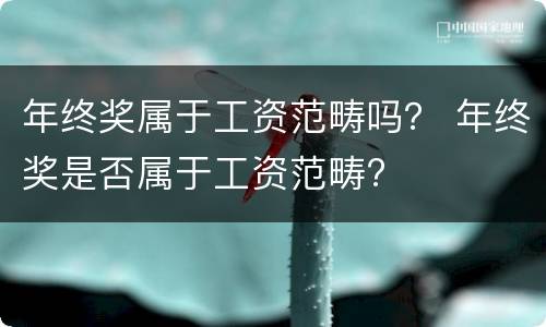 年终奖属于工资范畴吗？ 年终奖是否属于工资范畴?