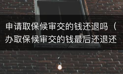 申请取保候审交的钱还退吗（办取保候审交的钱最后还退还吗）