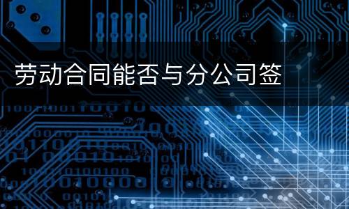 劳动合同能否与分公司签