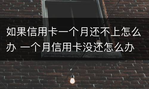 如果信用卡一个月还不上怎么办 一个月信用卡没还怎么办