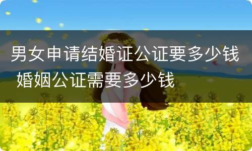 男女申请结婚证公证要多少钱 婚姻公证需要多少钱