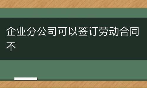 企业分公司可以签订劳动合同不