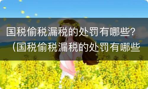 国税偷税漏税的处罚有哪些？（国税偷税漏税的处罚有哪些标准）