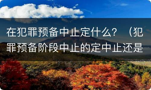 在犯罪预备中止定什么？（犯罪预备阶段中止的定中止还是预备）