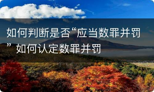 如何判断是否“应当数罪并罚” 如何认定数罪并罚