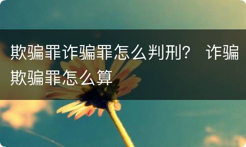 欺骗罪诈骗罪怎么判刑？ 诈骗欺骗罪怎么算