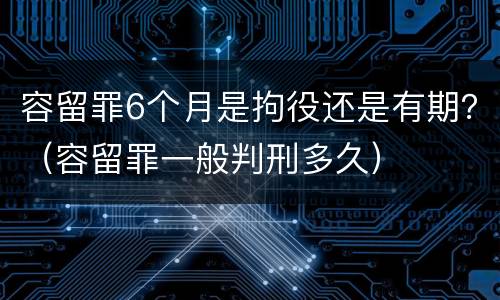 容留罪6个月是拘役还是有期？（容留罪一般判刑多久）