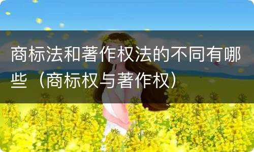 商标法和著作权法的不同有哪些（商标权与著作权）