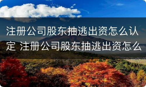 注册公司股东抽逃出资怎么认定 注册公司股东抽逃出资怎么认定责任