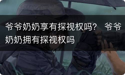 爷爷奶奶享有探视权吗？ 爷爷奶奶拥有探视权吗