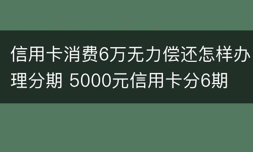 信用卡消费6万无力偿还怎样办理分期 5000元信用卡分6期