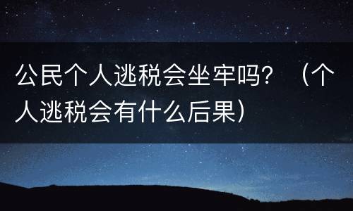 公民个人逃税会坐牢吗？（个人逃税会有什么后果）