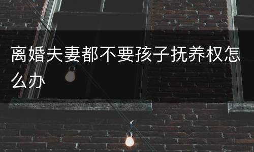 离婚夫妻都不要孩子抚养权怎么办