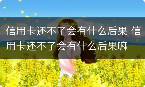 信用卡还不了会有什么后果 信用卡还不了会有什么后果嘛