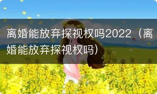 离婚能放弃探视权吗2022（离婚能放弃探视权吗）