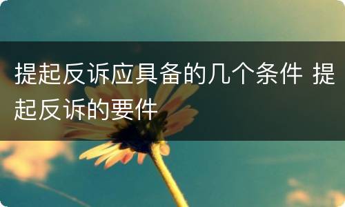 提起反诉应具备的几个条件 提起反诉的要件