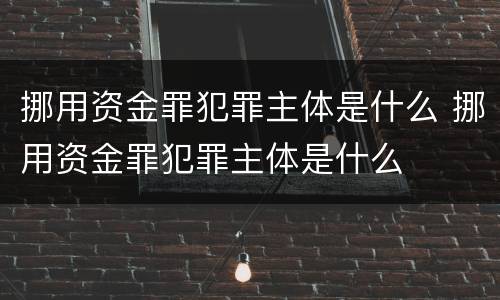 挪用资金罪犯罪主体是什么 挪用资金罪犯罪主体是什么