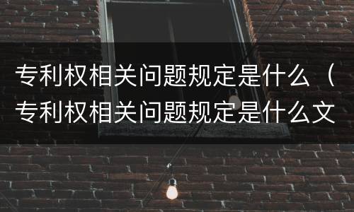专利权相关问题规定是什么（专利权相关问题规定是什么文件）
