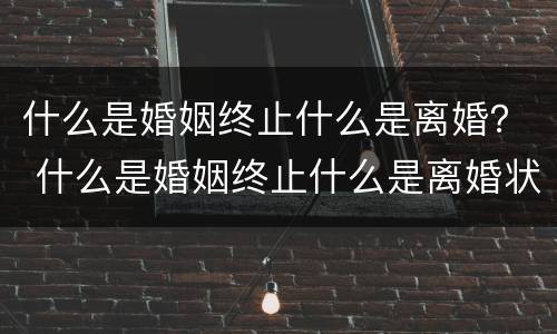 什么是婚姻终止什么是离婚？ 什么是婚姻终止什么是离婚状态